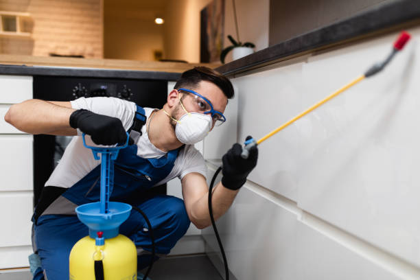 Flea Control Services in Nyack, NY