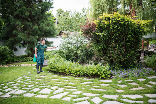 Best Wasp Removal Services  in Ack, NY