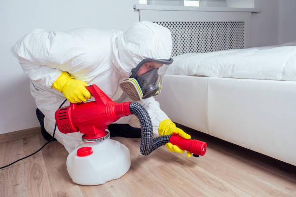 Best Pest Inspection Near Me  in Ack, NY