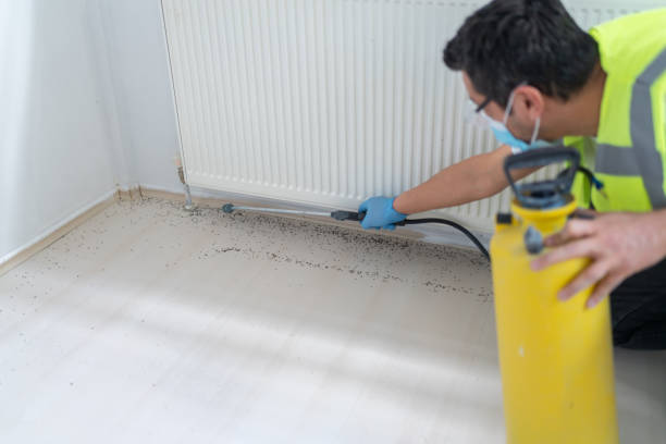  Ack, NY Pest Control Pros