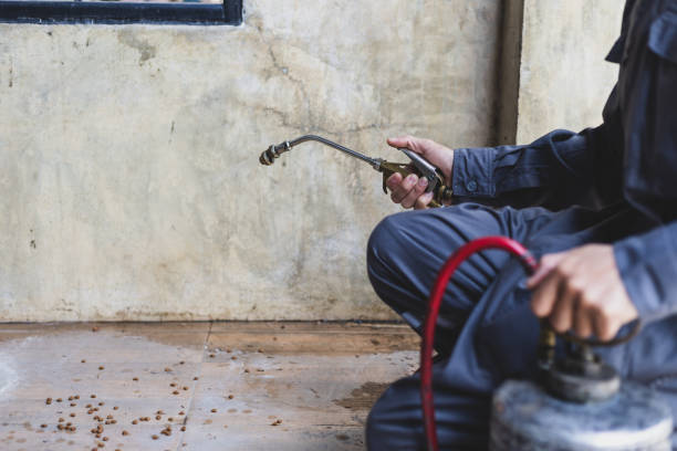 Best Best Pest Control Companies  in Ack, NY